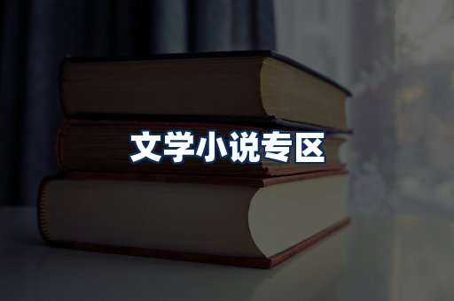 文学小说PDF展示